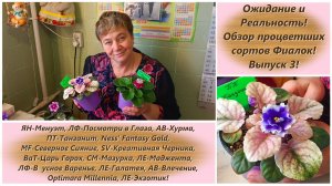 Ожидание и Реальность! Обзор процветших сортов Фиалок! Выпуск 3!