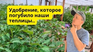 Удобрение, которое я никогда не использую и вам не советую- ХЛОРИСТЫЙ КАЛИЙ.