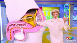 Рак простаты: не молчи - вовремя спасешь жизнь. Жить здорово! Фрагмент выпуска от 17.11.2025