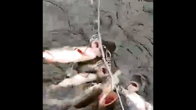 Рыбалка на Оке в Коломне