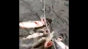 Рыбалка на Оке в Коломне