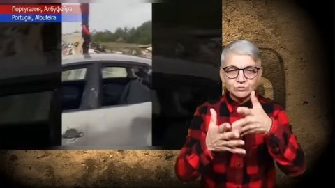 новости глухих 17.11.2025