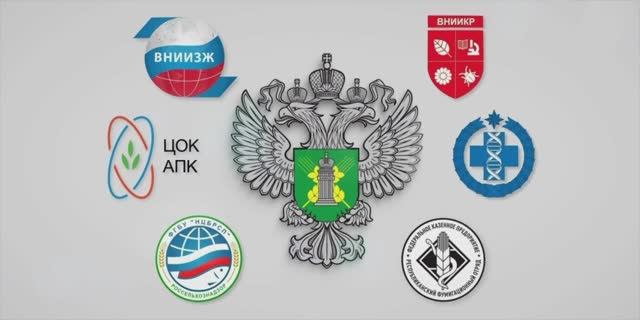 16 октября отмечается Всемирный день продовольствия ООН