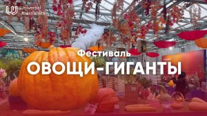Фестиваль «Овощи-гиганты»