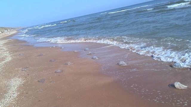 Воспоминание о лете 2024 год п. Кучугуры (Азовское море) 1 часть