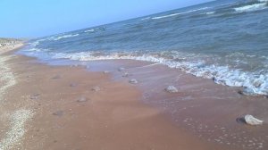 Воспоминание о лете 2024 год п. Кучугуры (Азовское море) 1 часть