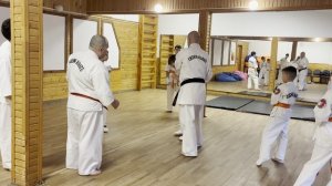 Семинар эншин каратэ в Уфе ч.2