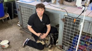 Святогор сам прибился к людям, чтобы ему помогли