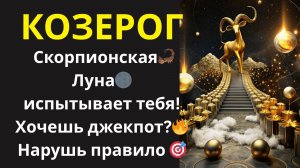 ♑ Козерог. Сделай 1 вещь, запрещенную в этот период, и сорвите главный джекпот года.