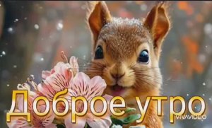 С ДОБРЫМ УТРОМ ! КРАСИВОЕ ПОЖЕЛАНИЕ ДОБРОГО УТРА