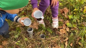 Детский квест сказка