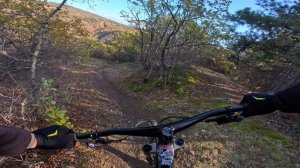 трейл Бонапарт (Лучистый/Алушта) / 16.11.25