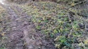 Вот так и живём... Ноябрь 2025 года. Первая половина