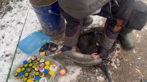 Онлайн с водоема