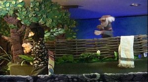 ЦЫГАНСКОЕ СЧАСТЬЕ _КУКОЛЬНЫЙ СПЕКТАКЛЬ ЦТК