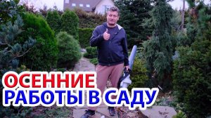 Садовые работы осенью.  Уборка листьев с ветродувом. Рассказ про наш  можжевельник Успенского