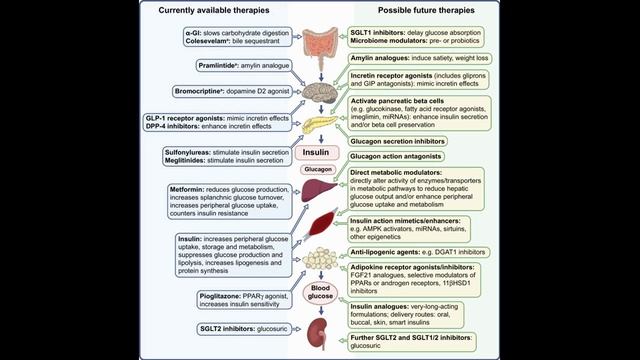 Будущая фармакологическая терапия диабета 2 типа. 31.10.2025