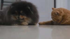 Овощи и злаки в рационе — какая от них польза?