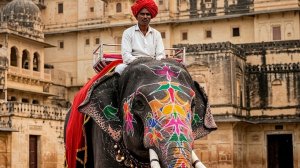 Телемост Индия 🇮🇳-Сибирь💃🕺🤷