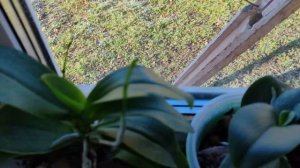 Разговоры, уборка