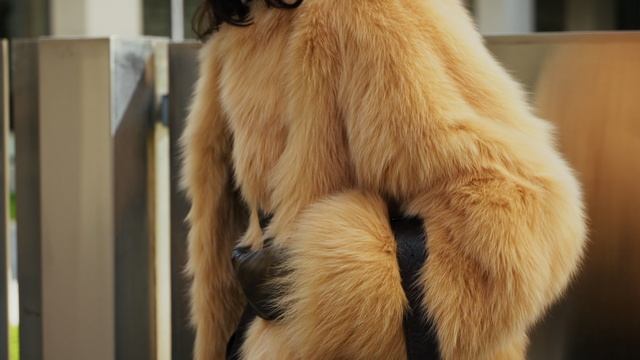 Коллекция ЗИМА'26 I «Снежная Королева» — российский бренд мужской и женской одежды смотреть онлайн