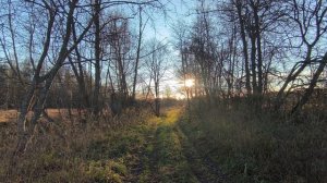 За городом. ч.2. Ноябрь 2025