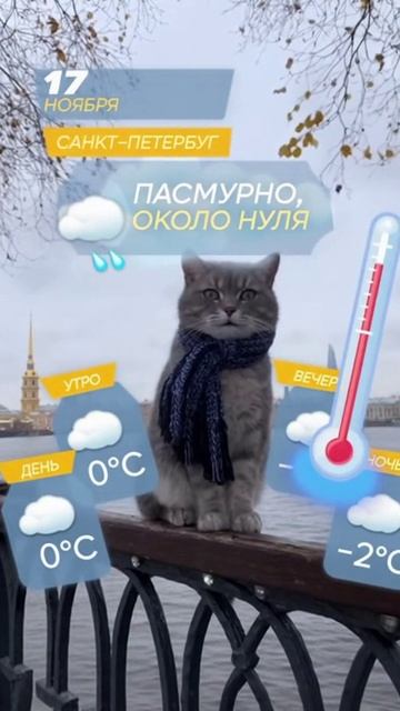 Прогноз погоды в Санкт-Петербурге на 17.11.2025 от котика.