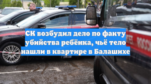 СК возбудил дело по факту убийства ребёнка, чьё тело нашли в квартире в Балашихе