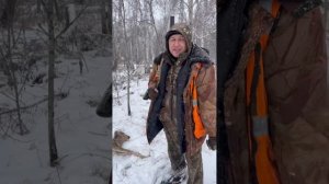 загонная охота на косулю 🦌 2025