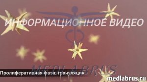 Этапы заживления ран: механизм восстановления кожи