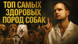 Топ самых здоровых пород собак