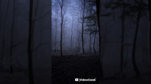 страшное путешествие со сереноголовым,пиромидоголовым ,слэндэром, сджэф убийца, фонарьголовый, лицо