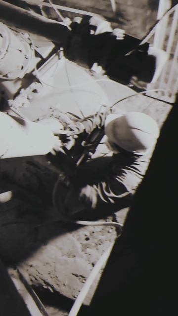 трудяги-работяги