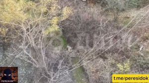 Дроноводы ВС РФ помогли ВСУшнику