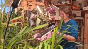 Ветер перемен,неудавшаяся работа и новый проект