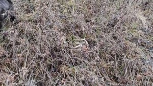 Поход за грибами осень 2025г.