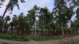 Драндский Храм в Абхазии