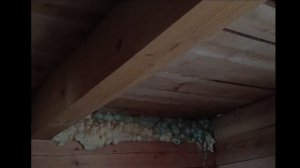 Рыбалка на Тикшозере осенью