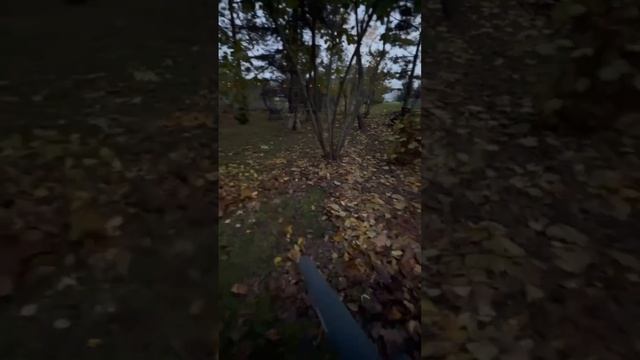 Итак, держитесь крепче! После этого выпуска кого-то точно может СДУТЬ 😅💨