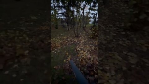 Итак, держитесь крепче! После этого выпуска кого-то точно может СДУТЬ 😅💨