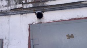 Итог избавиться от сырости на ферме я НУТРИЙ