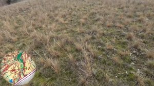 Тренировка в Пичуге. Ноябрь 2025. Ориентирование от первого лица. #gopro