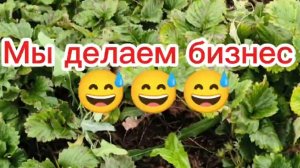 Мы делаем бизнес 😄😄😄