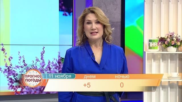 Здравствуйте  10/11/2025