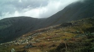 Югыд ва, олени