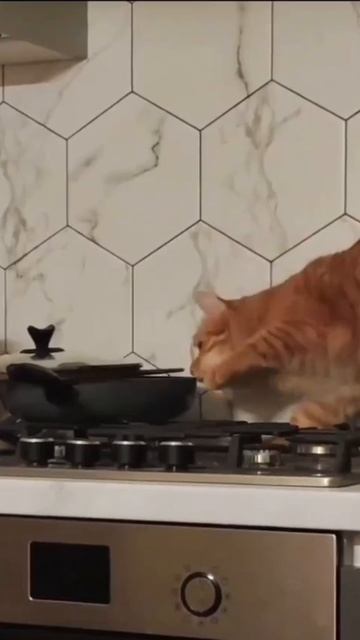 Ах, этот запах свежей рыбки меня сведёт сейчас с ума!