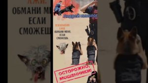 Визжание во ржи.