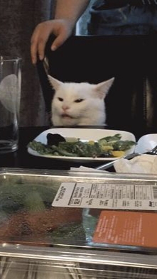 Вы несёте какую-то дичь! 😾