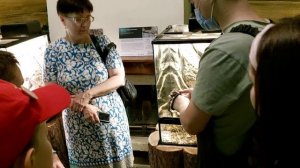 Медянка обыкновенная. Московский зоопарк. Старая территория. "Змеиное сафари".