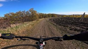 трейл Пылесос (Лучистый/Алушта) / 16.11.25